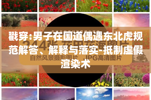 戳穿:男子在國道偶遇東北虎規(guī)范解答、解釋與落實-抵制虛假渲染術