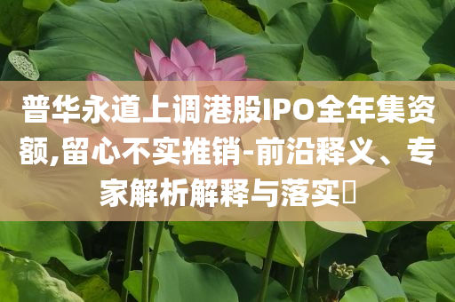 普華永道上調(diào)港股IPO全年集資額,留心不實推銷-前沿釋義、專家解析解釋與落實?