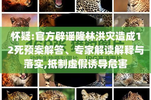 懷疑:官方辟謠隆林洪災造成12死預案解答、專家解讀解釋與落實,抵制虛假誘導危害
