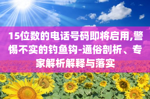15位數(shù)的電話號碼即將啟用,警惕不實的釣魚鉤-通俗剖析、專家解析解釋與落實