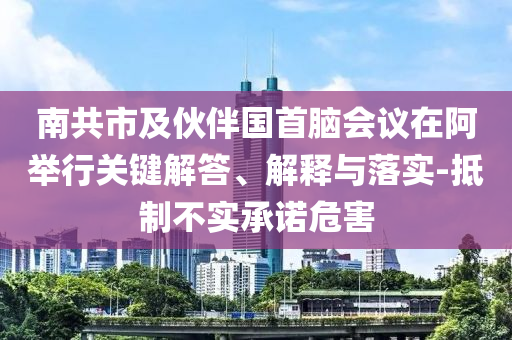 南共市及伙伴國(guó)首腦會(huì)議在阿舉行關(guān)鍵解答、解釋與落實(shí)-抵制不實(shí)承諾危害