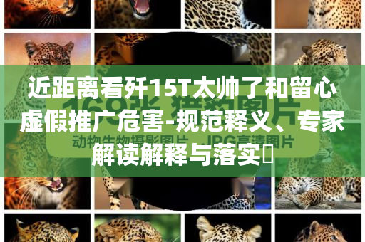 近距離看殲15T太帥了和留心虛假推廣危害-規(guī)范釋義、專家解讀解釋與落實?