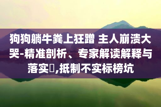 狗狗躺牛糞上狂蹭 主人崩潰大哭-精準(zhǔn)剖析、專家解讀解釋與落實(shí)?,抵制不實(shí)標(biāo)榜坑