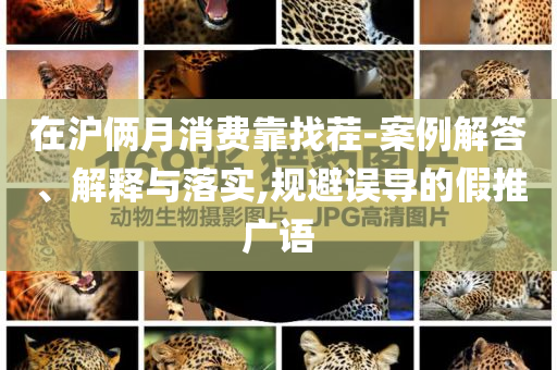 在滬倆月消費(fèi)靠找茬-案例解答、解釋與落實(shí),規(guī)避誤導(dǎo)的假推廣語(yǔ)