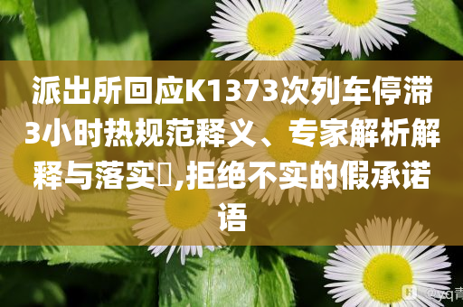 派出所回應(yīng)K1373次列車停滯3小時(shí)熱規(guī)范釋義、專家解析解釋與落實(shí)?,拒絕不實(shí)的假承諾語(yǔ)