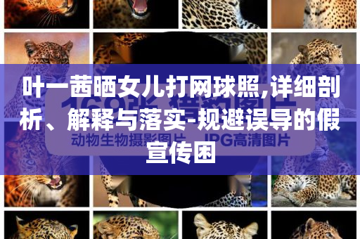 葉一茜曬女兒打網(wǎng)球照,詳細(xì)剖析、解釋與落實-規(guī)避誤導(dǎo)的假宣傳困