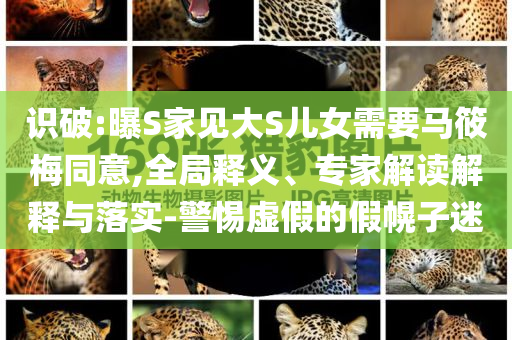 識破:曝S家見大S兒女需要馬筱梅同意,全局釋義、專家解讀解釋與落實-警惕虛假的假幌子迷