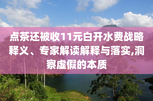 點(diǎn)茶還被收11元白開水費(fèi)戰(zhàn)略釋義、專家解讀解釋與落實(shí),洞察虛假的本質(zhì)