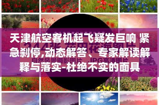 天津航空客機起飛疑發(fā)巨響 緊急剎停,動態(tài)解答、專家解讀解釋與落實-杜絕不實的面具