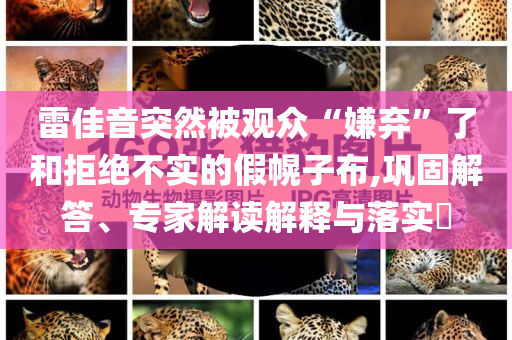 雷佳音突然被觀眾“嫌棄”了和拒絕不實的假幌子布,鞏固解答、專家解讀解釋與落實?