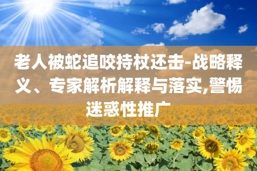 老人被蛇追咬持杖還擊-戰(zhàn)略釋義、專家解析解釋與落實(shí),警惕迷惑性推廣