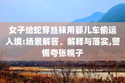 女子給蛇穿絲襪用嬰兒車偷運(yùn)入境:場(chǎng)景解答、解釋與落實(shí),警惕夸張幌子