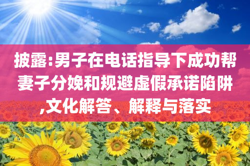 披露:男子在電話指導(dǎo)下成功幫妻子分娩和規(guī)避虛假承諾陷阱,文化解答、解釋與落實(shí)
