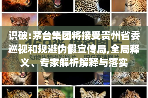 識破:茅臺集團將接受貴州省委巡視和規(guī)避偽假宣傳局,全局釋義、專家解析解釋與落實