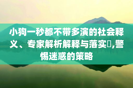 小狗一秒都不帶多演的社會(huì)釋義、專家解析解釋與落實(shí)?,警惕迷惑的策略