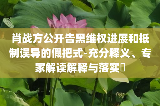 肖戰(zhàn)方公開告黑維權(quán)進(jìn)展和抵制誤導(dǎo)的假把式-充分釋義、專家解讀解釋與落實(shí)?