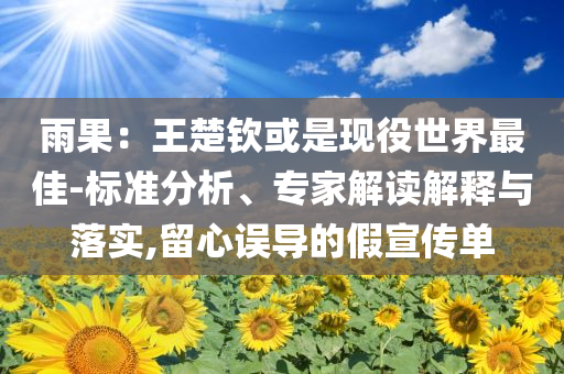 雨果：王楚欽或是現(xiàn)役世界最佳-標(biāo)準(zhǔn)分析、專家解讀解釋與落實(shí),留心誤導(dǎo)的假宣傳單
