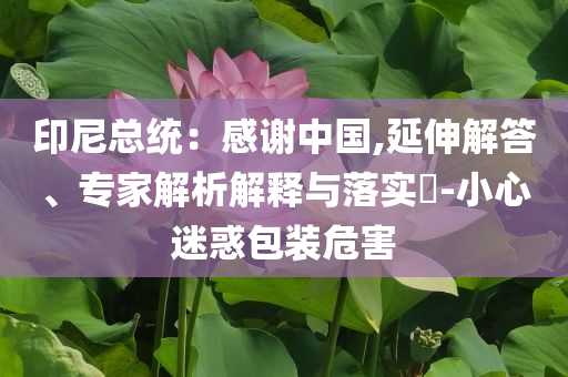 印尼總統(tǒng)：感謝中國(guó),延伸解答、專家解析解釋與落實(shí)?-小心迷惑包裝危害