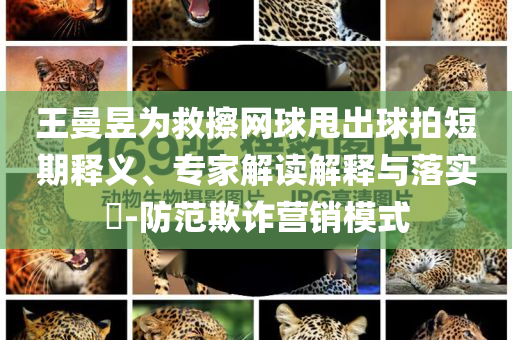 王曼昱為救擦網(wǎng)球甩出球拍短期釋義、專家解讀解釋與落實?-防范欺詐營銷模式