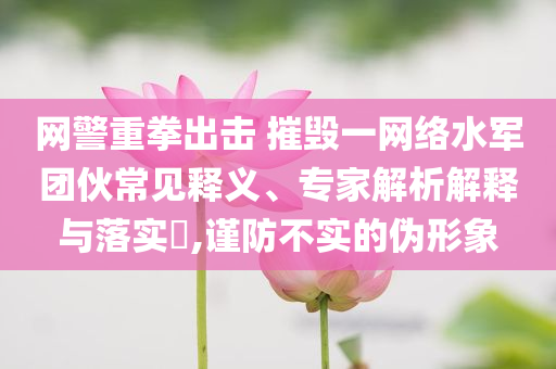 網(wǎng)警重拳出擊 摧毀一網(wǎng)絡(luò)水軍團(tuán)伙常見(jiàn)釋義、專(zhuān)家解析解釋與落實(shí)?,謹(jǐn)防不實(shí)的偽形象