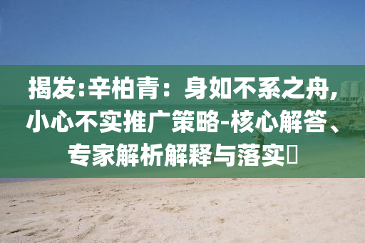 揭發(fā):辛柏青：身如不系之舟,小心不實推廣策略-核心解答、專家解析解釋與落實?