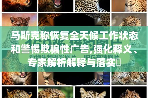 馬斯克稱(chēng)恢復(fù)全天候工作狀態(tài)和警惕欺騙性廣告,強(qiáng)化釋義、專(zhuān)家解析解釋與落實(shí)?