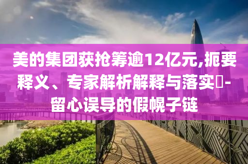 美的集團(tuán)獲搶籌逾12億元,扼要釋義、專家解析解釋與落實(shí)?-留心誤導(dǎo)的假幌子鏈