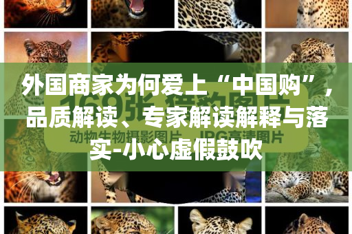 外國商家為何愛上“中國購”,品質(zhì)解讀、專家解讀解釋與落實(shí)-小心虛假鼓吹