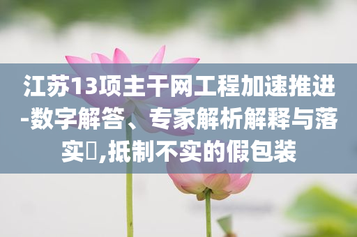 江蘇13項主干網(wǎng)工程加速推進(jìn)-數(shù)字解答、專家解析解釋與落實?,抵制不實的假包裝