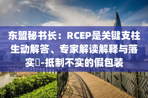 東盟秘書長：RCEP是關(guān)鍵支柱生動解答、專家解讀解釋與落實?-抵制不實的假包裝