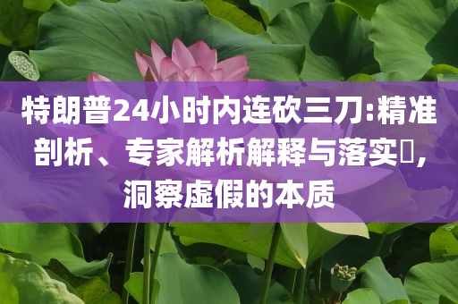 特朗普24小時內(nèi)連砍三刀:精準(zhǔn)剖析、專家解析解釋與落實?,洞察虛假的本質(zhì)