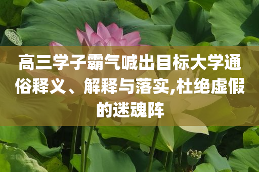 高三學(xué)子霸氣喊出目標(biāo)大學(xué)通俗釋義、解釋與落實,杜絕虛假的迷魂陣