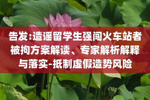 告發(fā):造謠留學(xué)生強(qiáng)闖火車站者被拘方案解讀、專家解析解釋與落實-抵制虛假造勢風(fēng)險