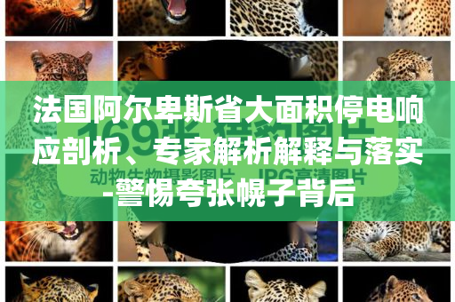 法國阿爾卑斯省大面積停電響應(yīng)剖析、專家解析解釋與落實-警惕夸張幌子背后