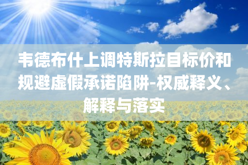 韋德布什上調(diào)特斯拉目標價和規(guī)避虛假承諾陷阱-權(quán)威釋義、解釋與落實