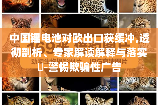 中國(guó)鋰電池對(duì)歐出口獲緩沖,透徹剖析、專(zhuān)家解讀解釋與落實(shí)?-警惕欺騙性廣告