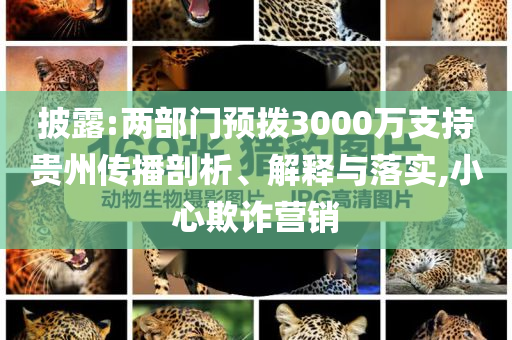 披露:兩部門預(yù)撥3000萬支持貴州傳播剖析、解釋與落實(shí),小心欺詐營銷