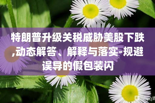 特朗普升級關稅威脅美股下跌,動態(tài)解答、解釋與落實-規(guī)避誤導的假包裝閃