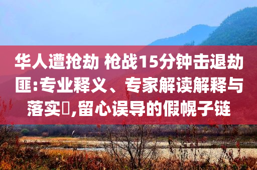 華人遭搶劫 槍戰(zhàn)15分鐘擊退劫匪:專業(yè)釋義、專家解讀解釋與落實?,留心誤導的假幌子鏈