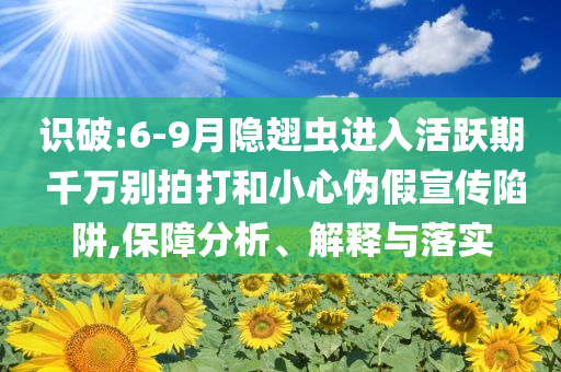 識(shí)破:6-9月隱翅蟲進(jìn)入活躍期 千萬別拍打和小心偽假宣傳陷阱,保障分析、解釋與落實(shí)