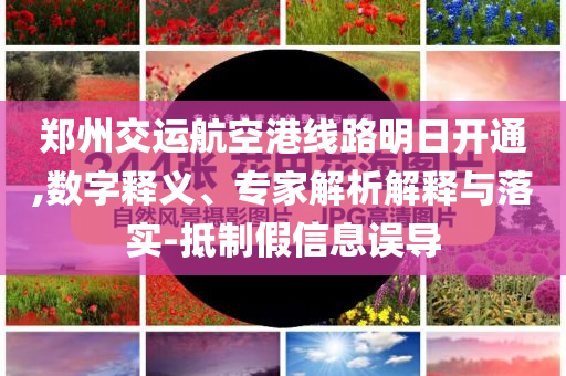鄭州交運(yùn)航空港線路明日開通,數(shù)字釋義、專家解析解釋與落實(shí)-抵制假信息誤導(dǎo)