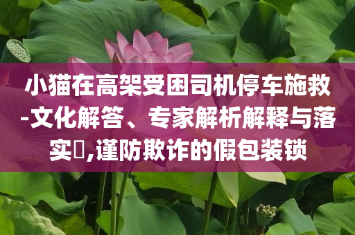 小貓?jiān)诟呒苁芾緳C(jī)停車施救-文化解答、專家解析解釋與落實(shí)?,謹(jǐn)防欺詐的假包裝鎖