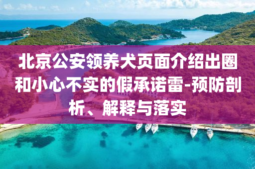 北京公安領(lǐng)養(yǎng)犬頁面介紹出圈和小心不實(shí)的假承諾雷-預(yù)防剖析、解釋與落實(shí)