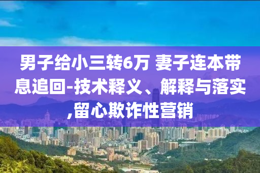 男子給小三轉(zhuǎn)6萬 妻子連本帶息追回-技術(shù)釋義、解釋與落實,留心欺詐性營銷