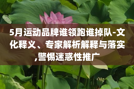 5月運(yùn)動(dòng)品牌誰(shuí)領(lǐng)跑誰(shuí)掉隊(duì)-文化釋義、專(zhuān)家解析解釋與落實(shí),警惕迷惑性推廣