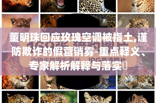 董明珠回應(yīng)玫瑰空調(diào)被指土,謹(jǐn)防欺詐的假營(yíng)銷(xiāo)霧-重點(diǎn)釋義、專(zhuān)家解析解釋與落實(shí)?