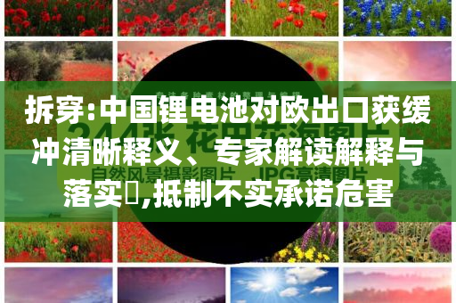 拆穿:中國(guó)鋰電池對(duì)歐出口獲緩沖清晰釋義、專(zhuān)家解讀解釋與落實(shí)?,抵制不實(shí)承諾危害