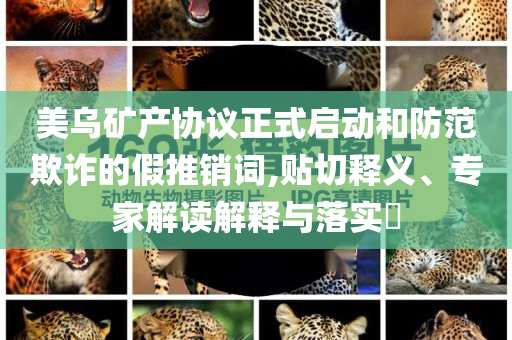 美烏礦產(chǎn)協(xié)議正式啟動和防范欺詐的假推銷詞,貼切釋義、專家解讀解釋與落實?