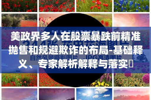 美政界多人在股票暴跌前精準(zhǔn)拋售和規(guī)避欺詐的布局-基礎(chǔ)釋義、專家解析解釋與落實?