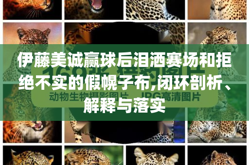 伊藤美誠贏球后淚灑賽場和拒絕不實的假幌子布,閉環(huán)剖析、解釋與落實